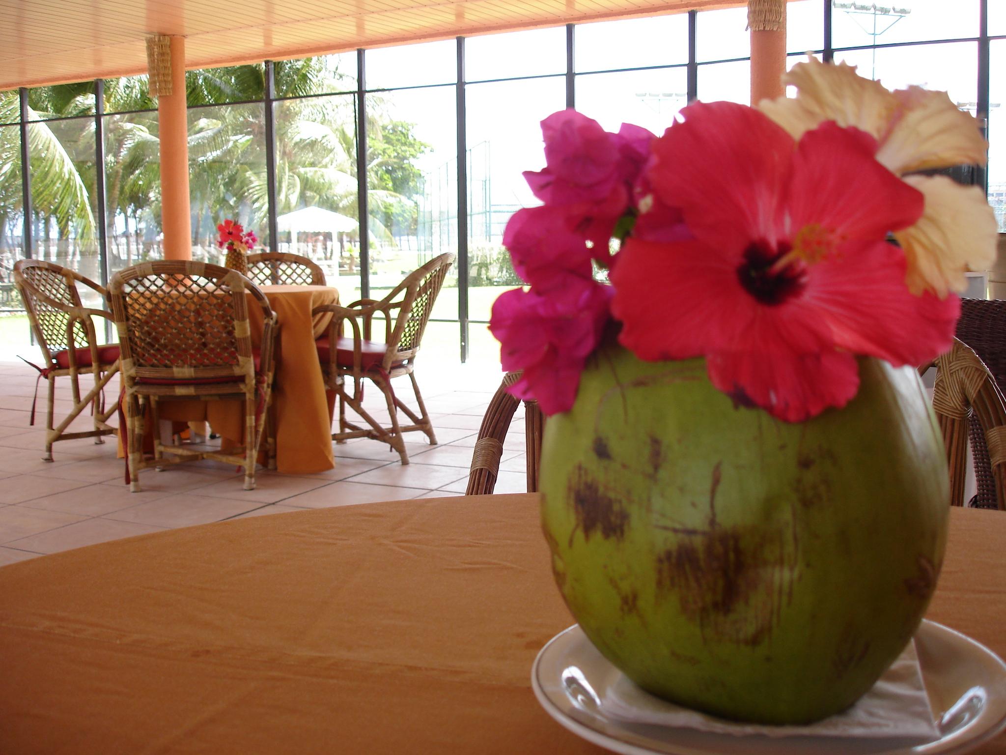 Marina Park Hotel ฟอร์ตาเลซา ภายนอก รูปภาพ A coconut flower